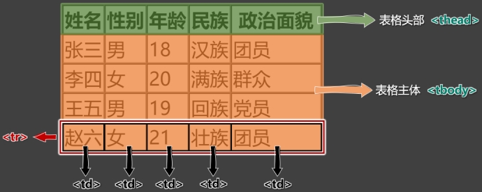 003-表格主体