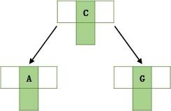 20250607124033-演变过程